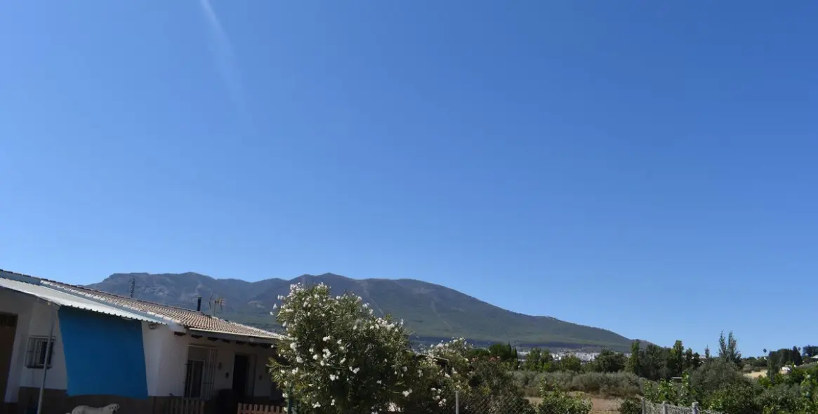 Продажа финки в Alhaurín el Grande 27