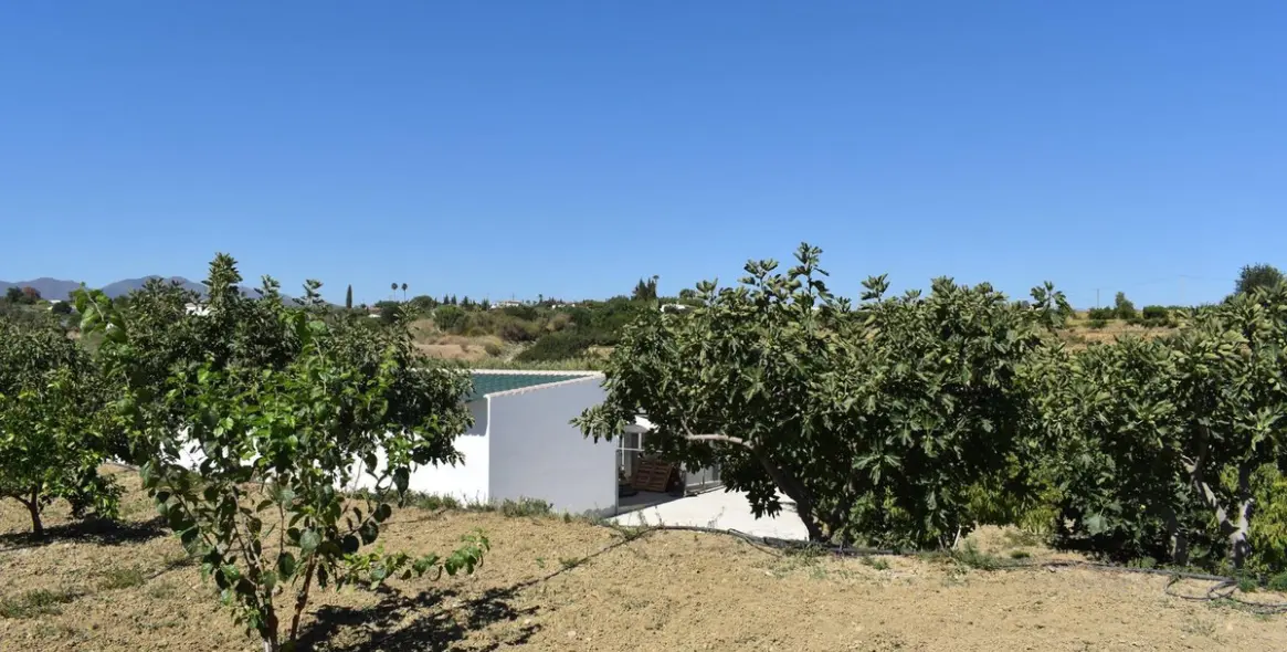 Продажа финки в Alhaurín el Grande 30