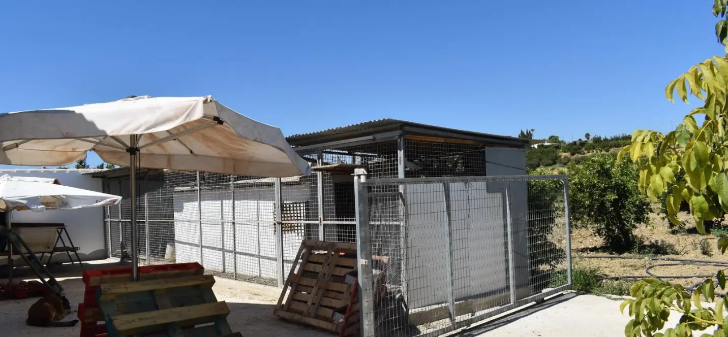 Продажа финки в Alhaurín el Grande 3