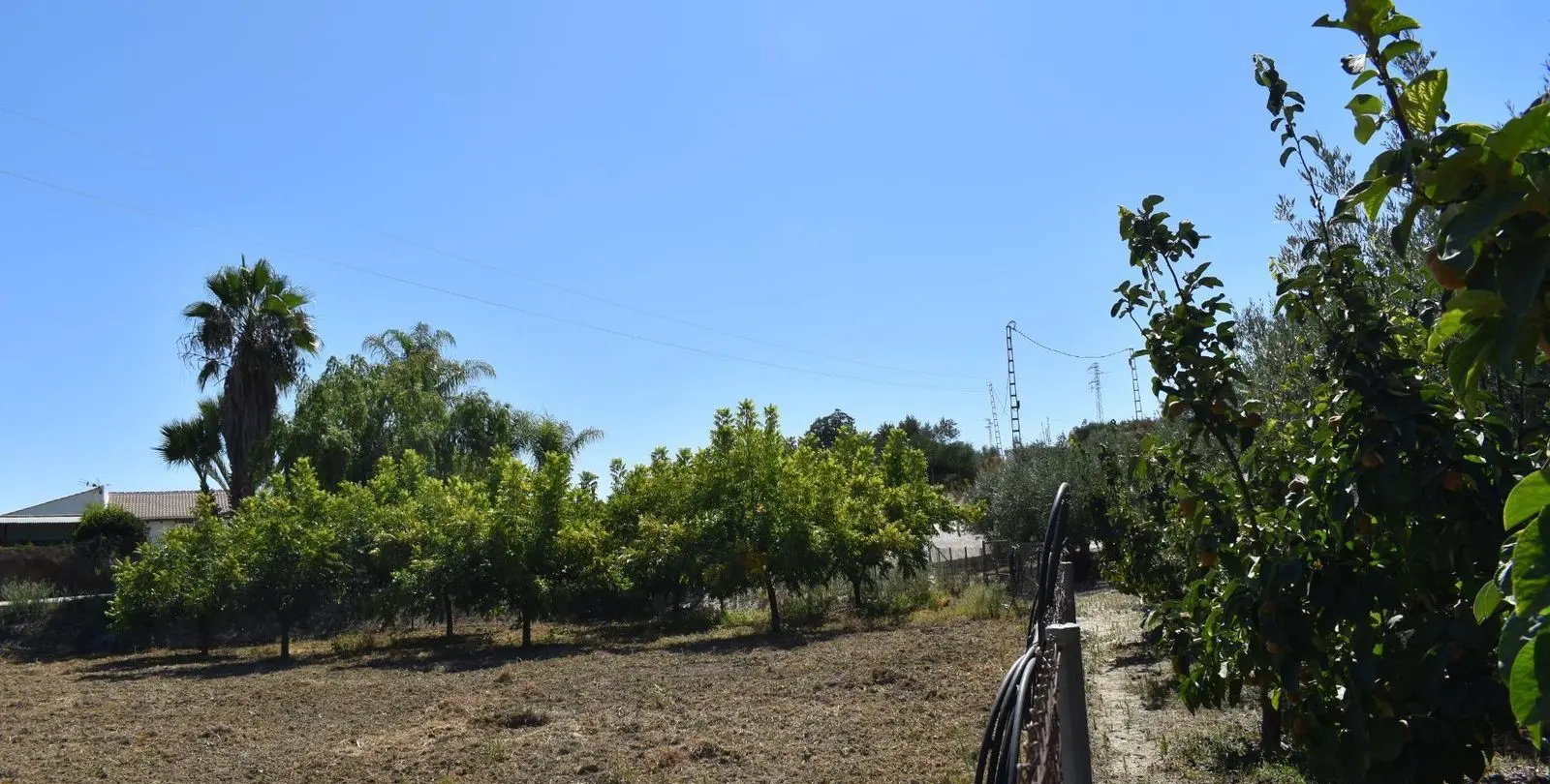 Продажа финки в Alhaurín el Grande 20