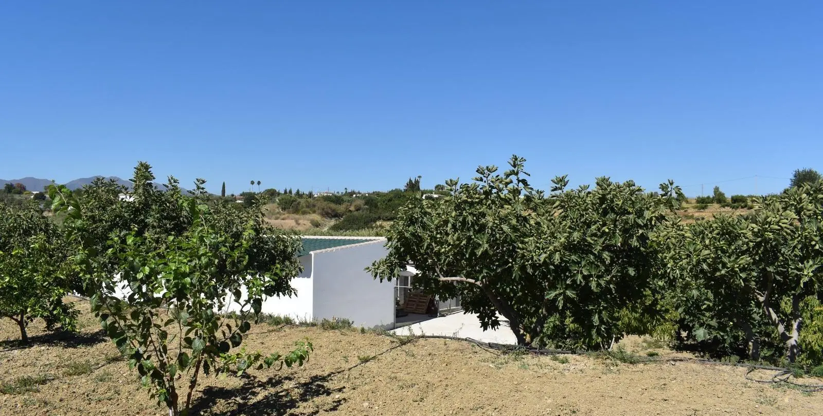 Продажа финки в Alhaurín el Grande 30