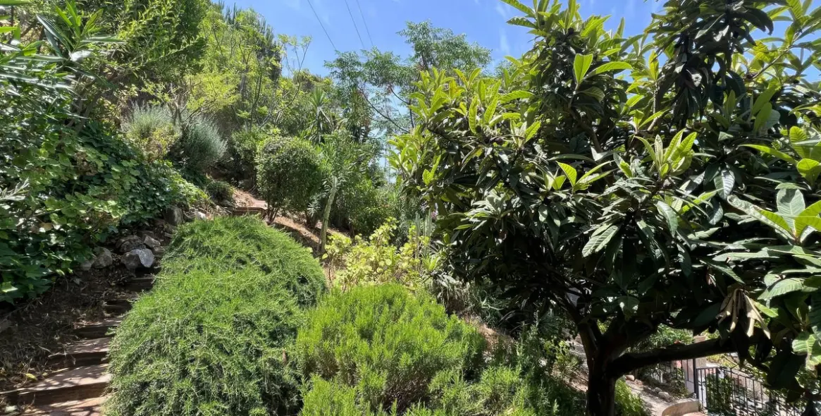 Продажа таунхауса в Alhaurín el Grande 36