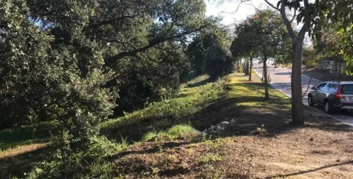 Venta de parcela residencial en Sotogrande Alto 6