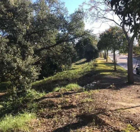 Venta de parcela residencial en Sotogrande Alto