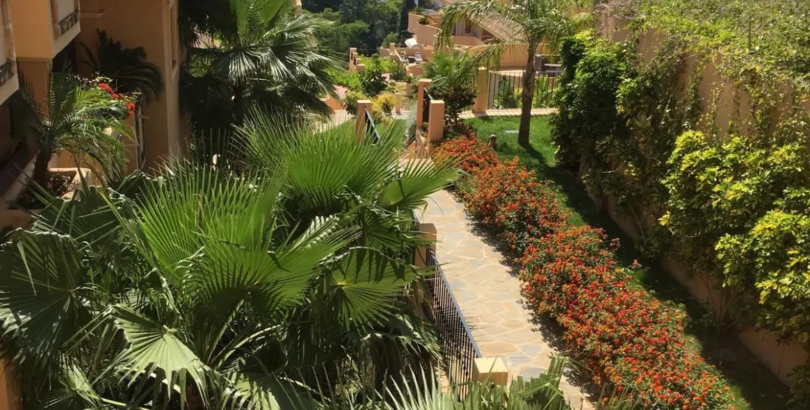 Sale of ground floor apartment in Aloha 76