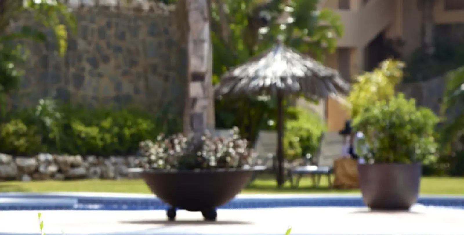 Venta de apartamento en planta baja en Aloha 40