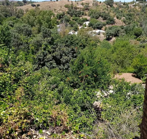 Продажа  отдельно стоящей виллы в Alhaurín el Grande