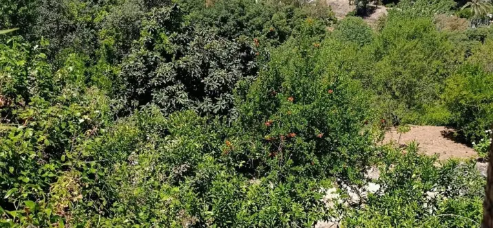 Продажа  отдельно стоящей виллы в Alhaurín el Grande 3