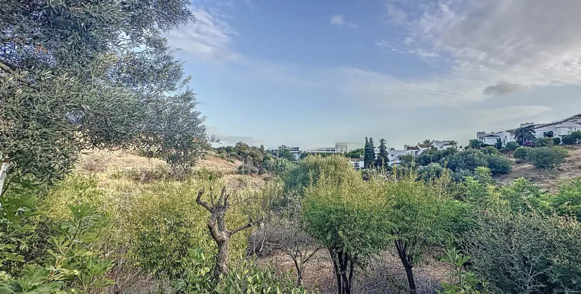 Sale of farm in Estepona 25