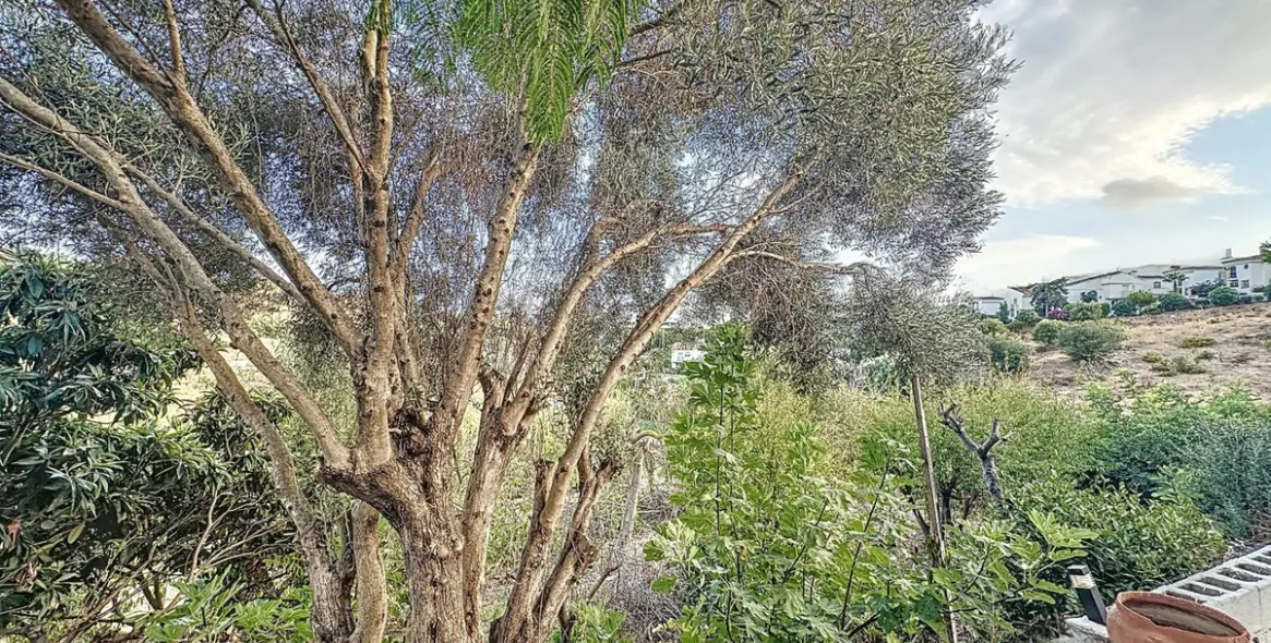 Sale of farm in Estepona 28