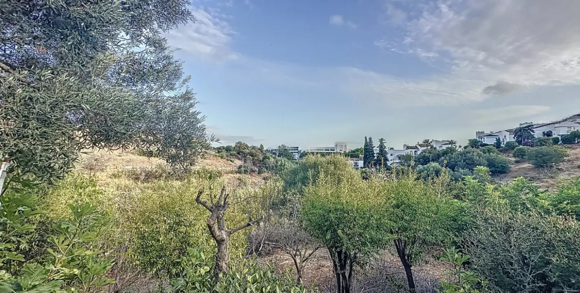 Sale of farm in Estepona 25