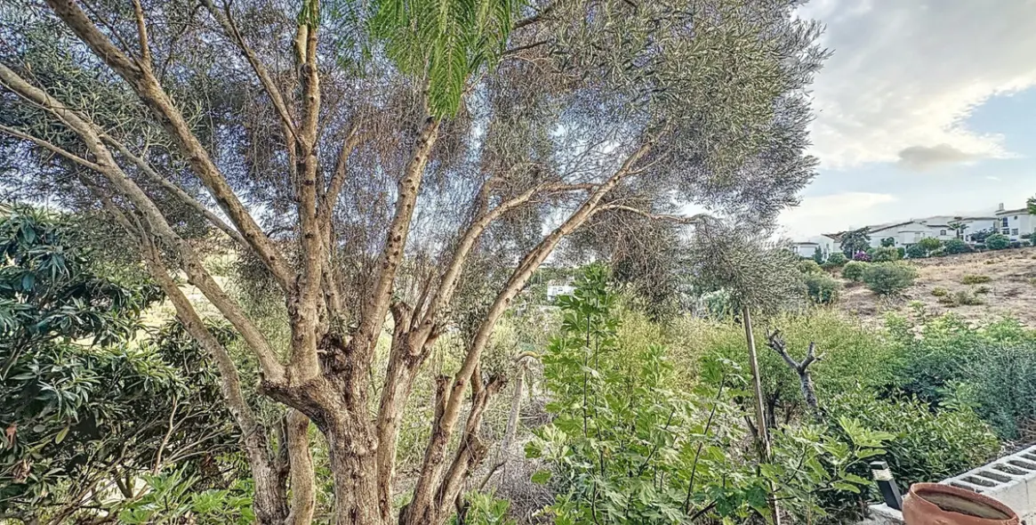 Sale of farm in Estepona 28