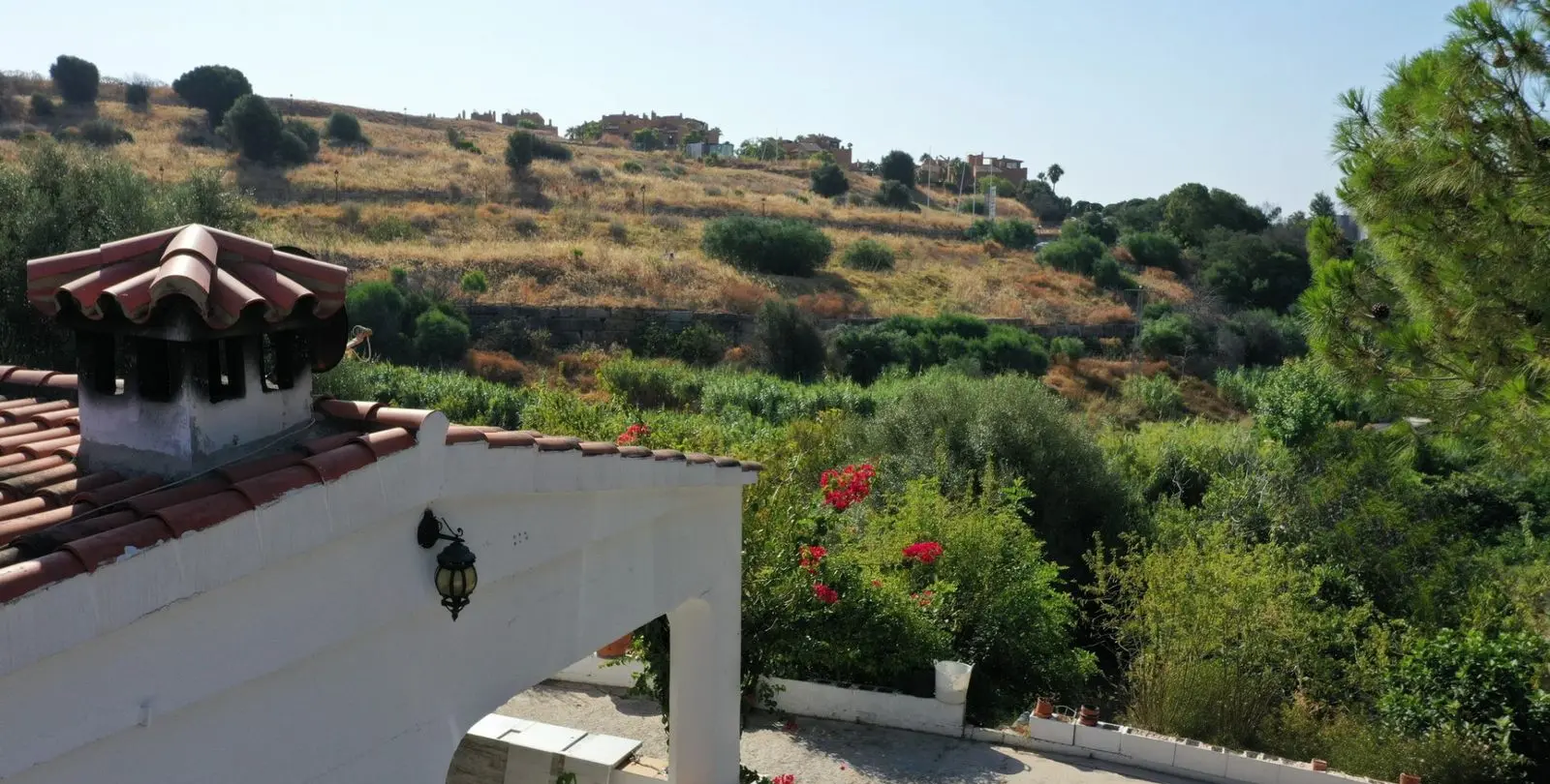 Sale of farm in Estepona 3