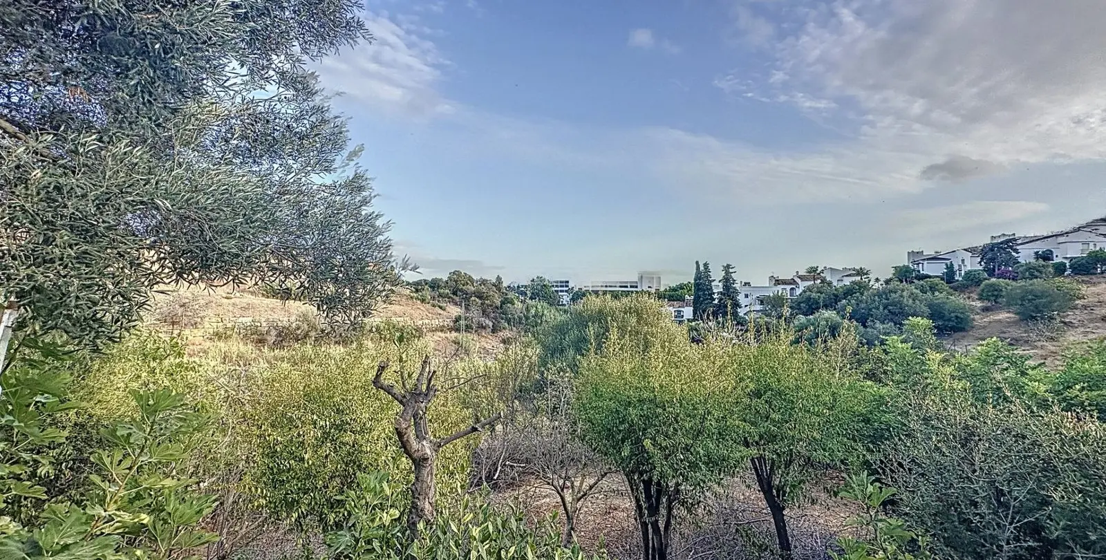 Sale of farm in Estepona 25