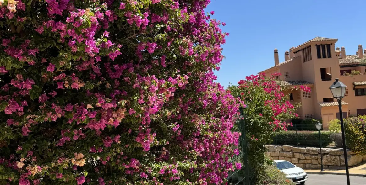 Venta de ático dúplex en Ojén 5