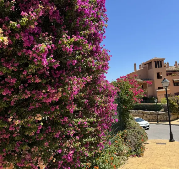 Venta de ático dúplex en Ojén