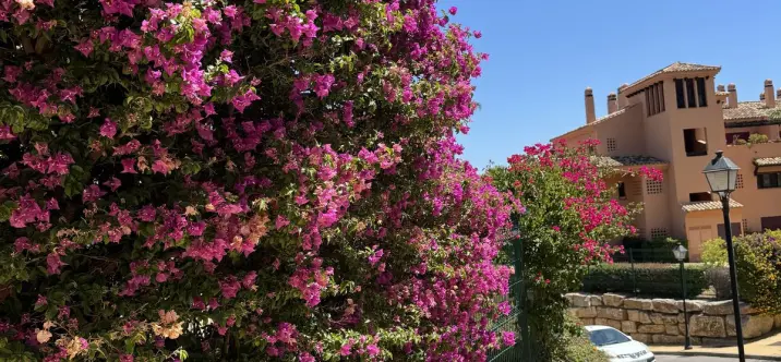 Venta de ático dúplex en Ojén 4