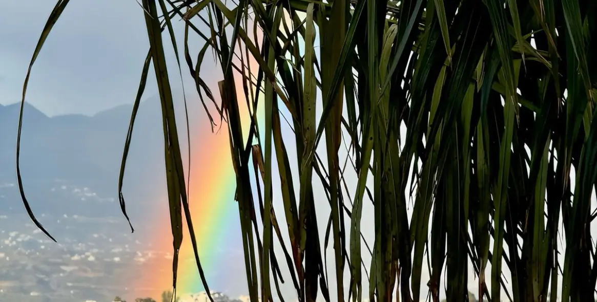 Sale of penthouse duplex in Ojén 28