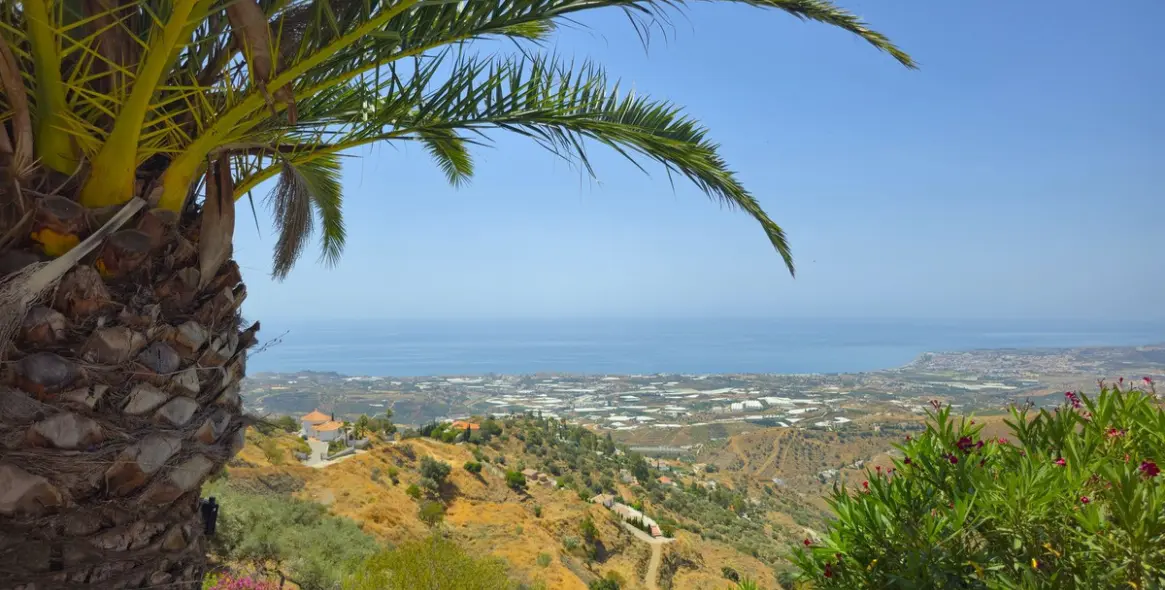 Продажа  отдельно стоящей виллы в Arenas 2