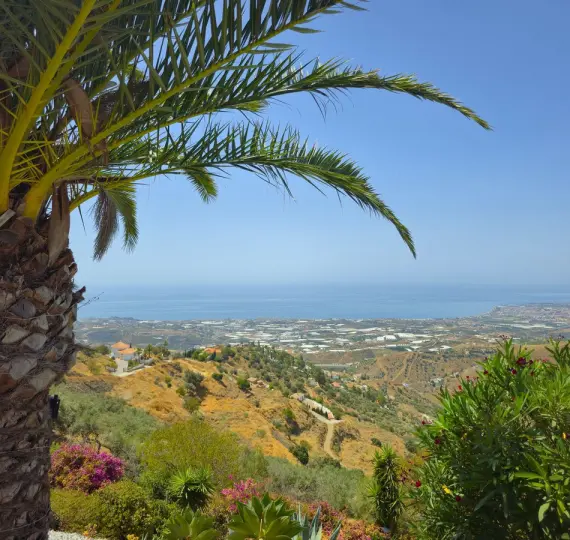 Продажа  отдельно стоящей виллы в Arenas