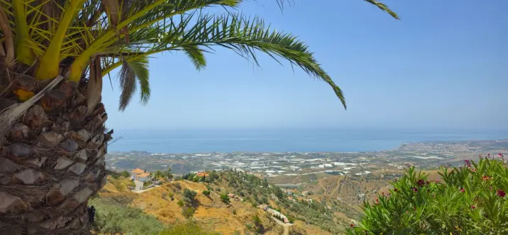 Продажа  отдельно стоящей виллы в Arenas 1