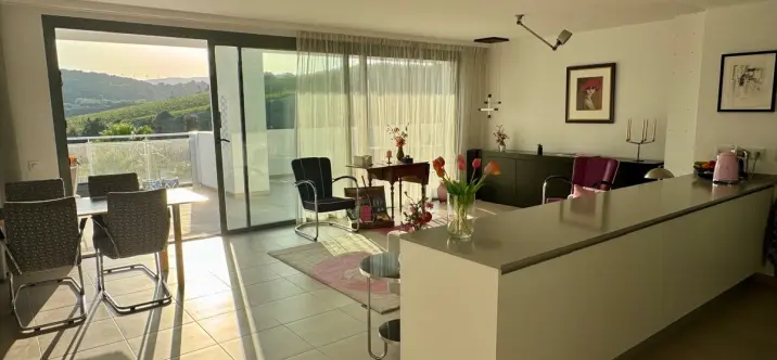 Sale of penthouse in Casares 2