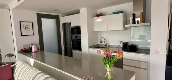 Sale of penthouse in Casares 4