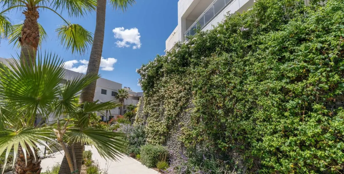 Sale of penthouse in Casares 38