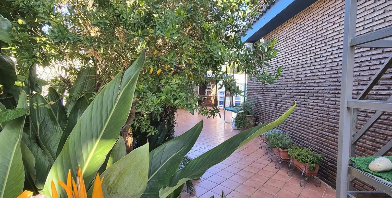 Sale of semi-detached house in Alhaurín el Grande 54
