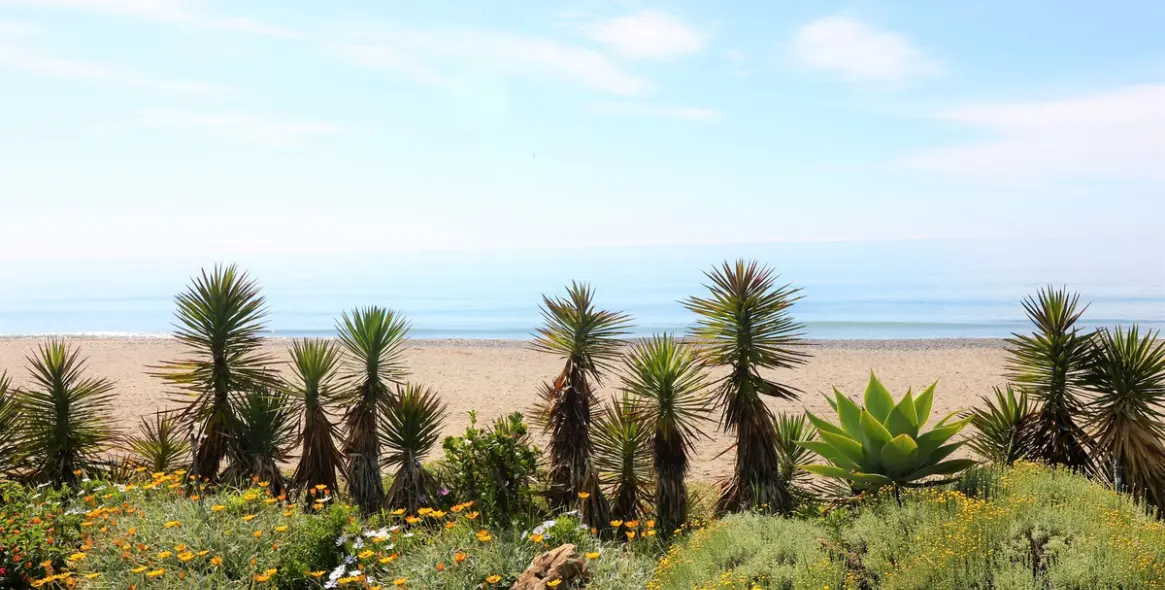 Продажа пентхауса в New Golden Mile 36