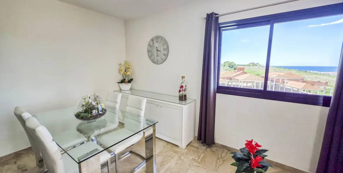 Sale of penthouse in Casares Playa 14