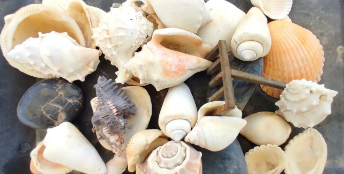 Sale of detached villa in Coín 19