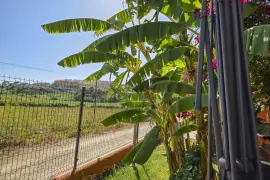 Image 50 thumb