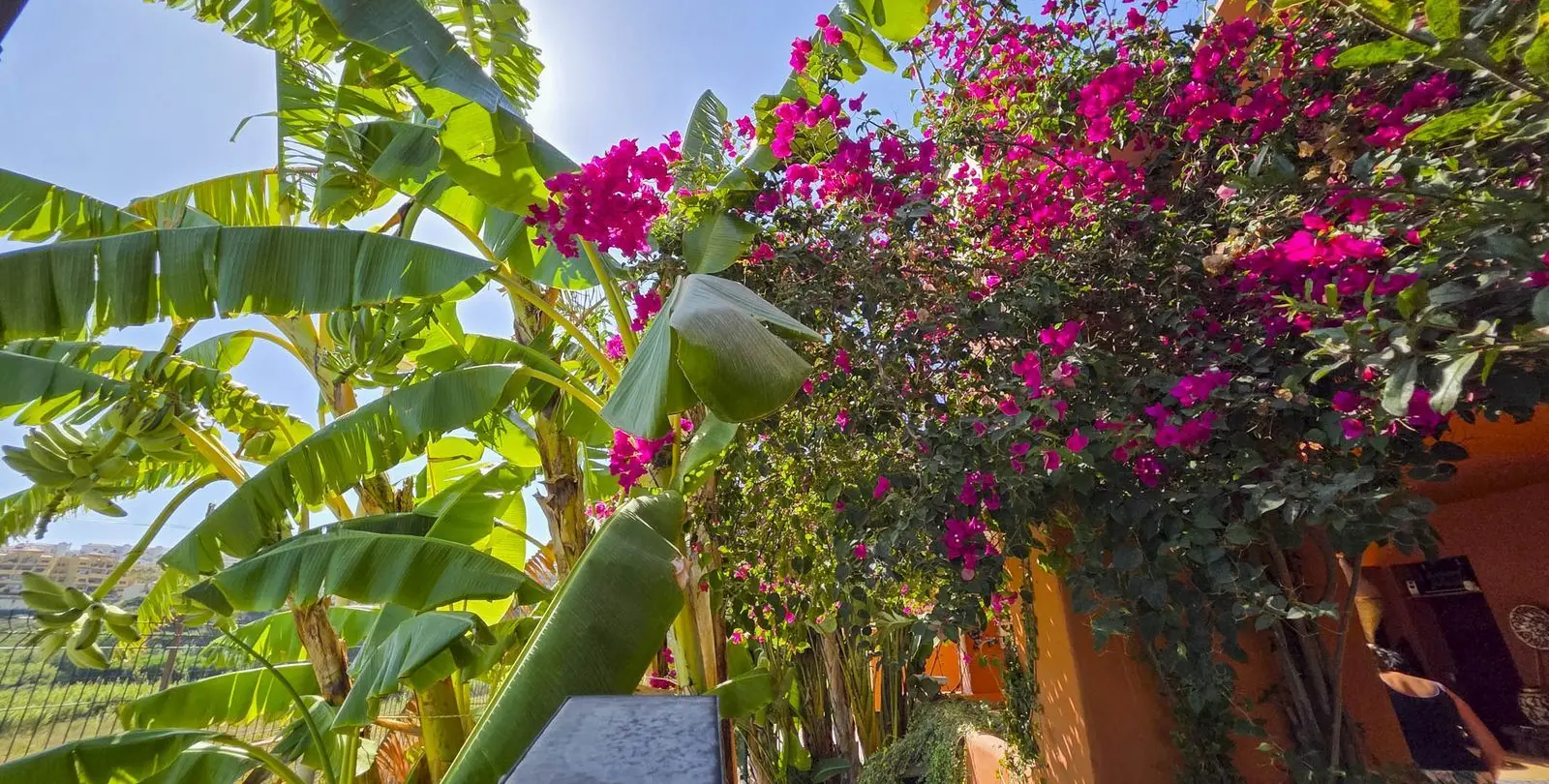 Venta de apartamento en planta baja en La Duquesa 53