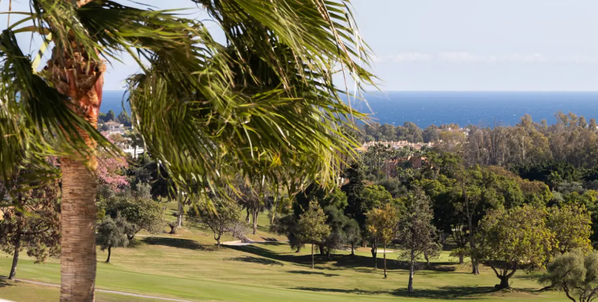 Sale of middle floor apartment in Nueva Andalucía 23