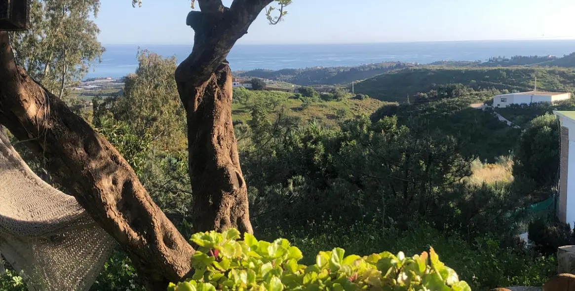 Продажа  отдельно стоящей виллы в Costa del sol 1