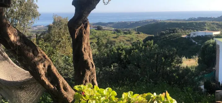 Продажа  отдельно стоящей виллы в Costa del sol 0