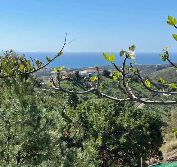 Продажа  отдельно стоящей виллы в Costa del sol