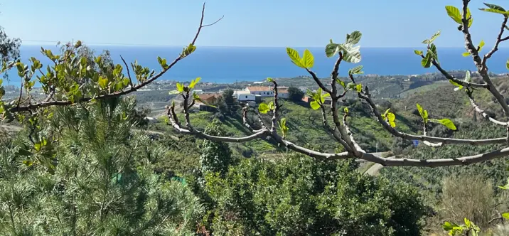 Продажа  отдельно стоящей виллы в Costa del sol 3