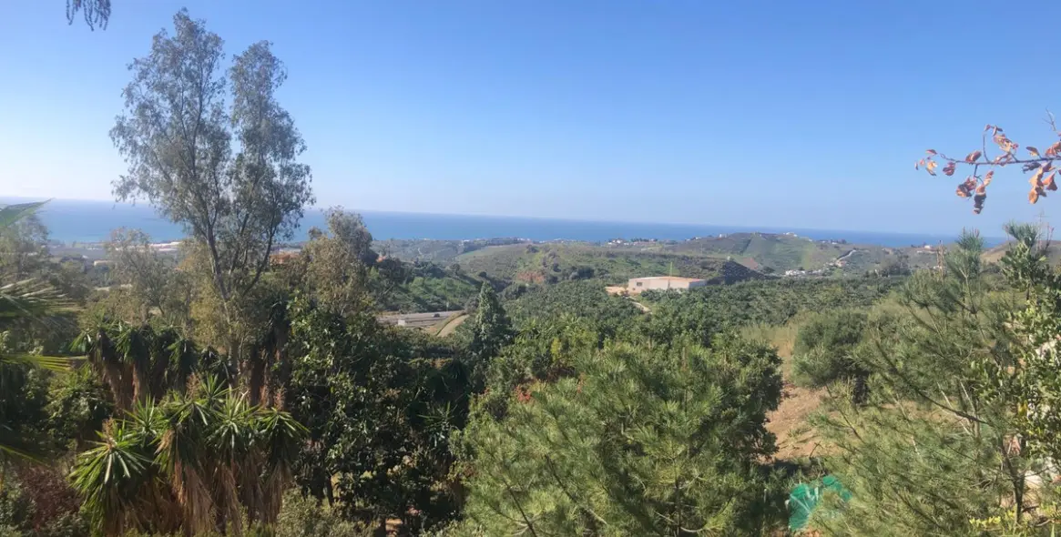 Продажа  отдельно стоящей виллы в Costa del sol 5