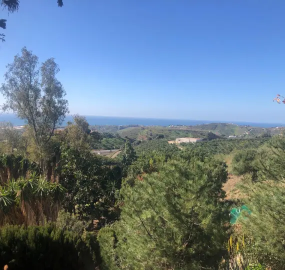 Продажа  отдельно стоящей виллы в Costa del sol