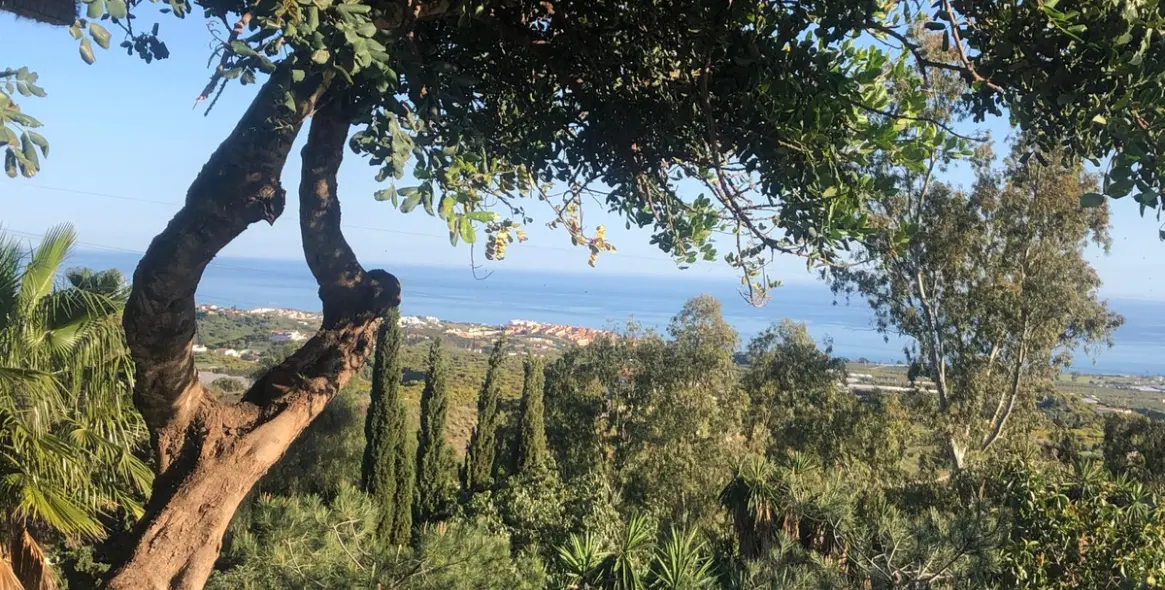 Продажа  отдельно стоящей виллы в Costa del sol 17