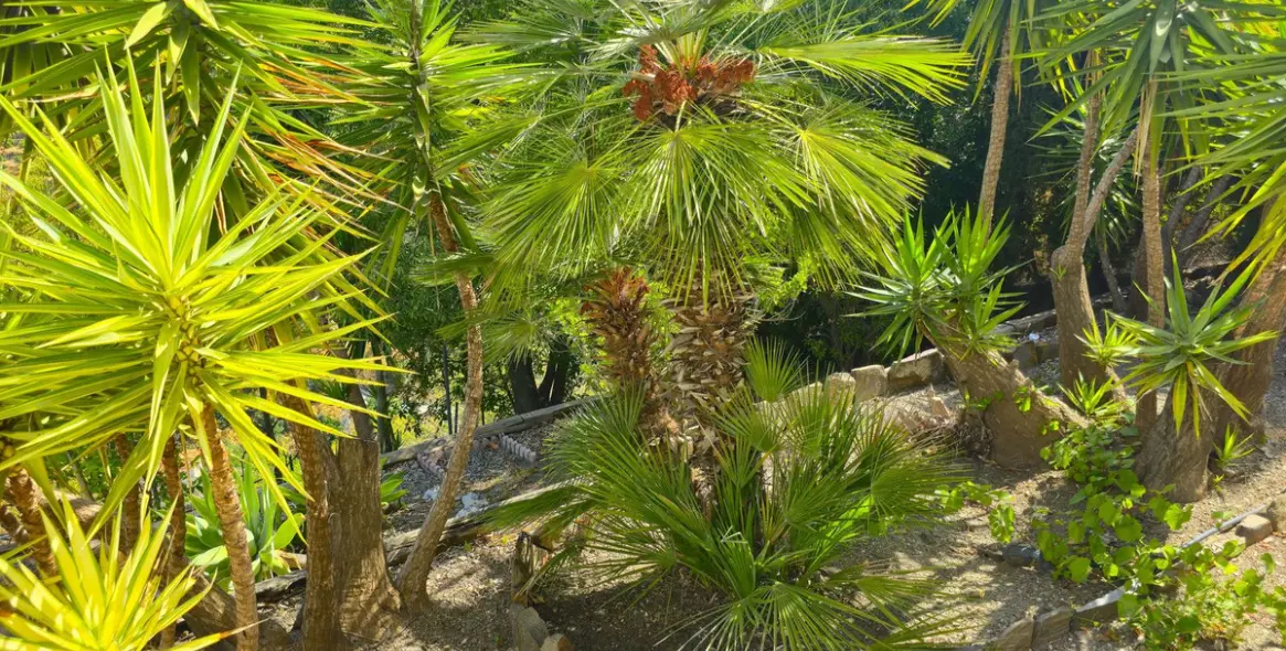 Sale of detached villa in Cómpeta 43