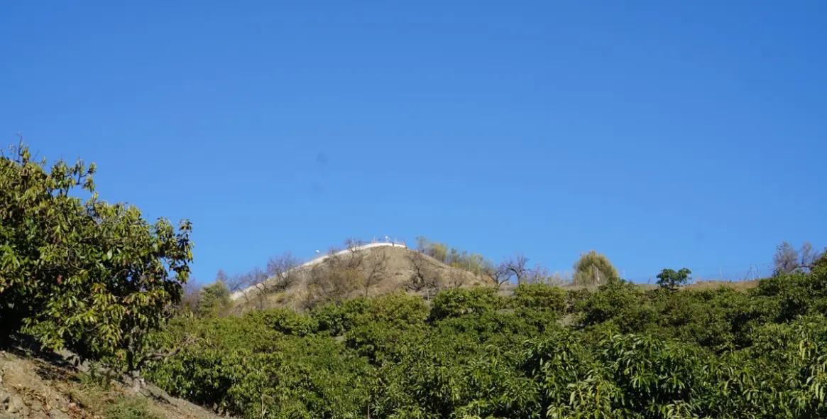 Продажа финки в La Viñuela 8