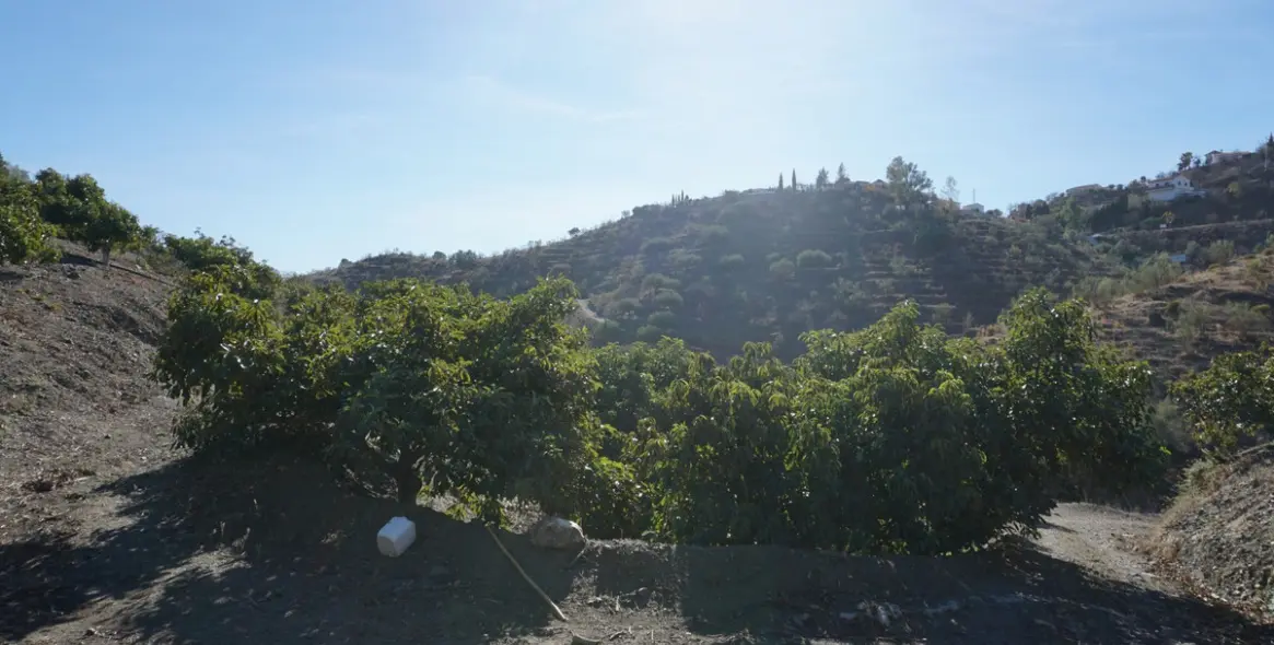 Продажа финки в La Viñuela 9