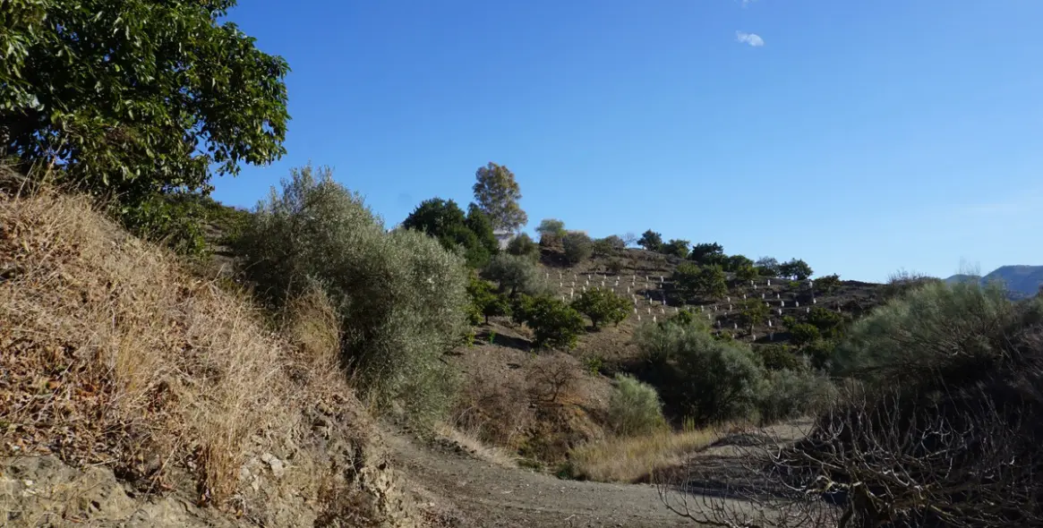 Продажа финки в La Viñuela 12