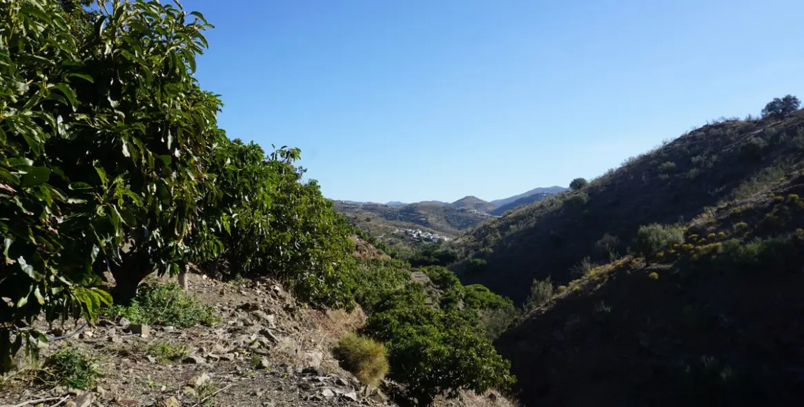 Продажа финки в La Viñuela 16