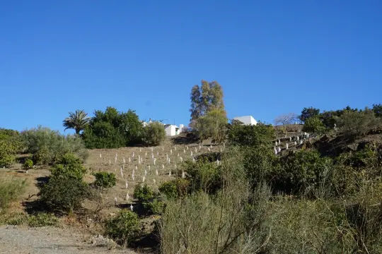 Image 6 thumb
