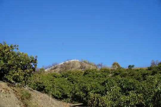 Image 8 thumb