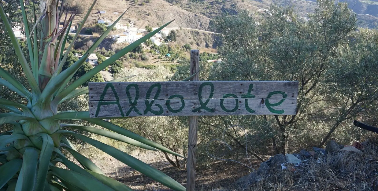 Продажа финки в La Viñuela 15